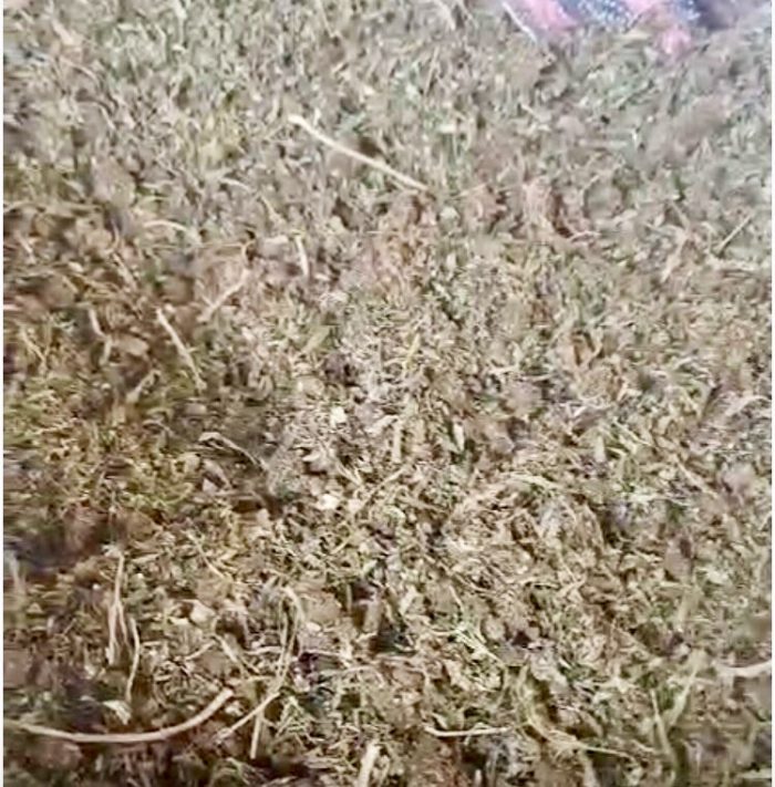 Kompolti CBD Hemp Biomass