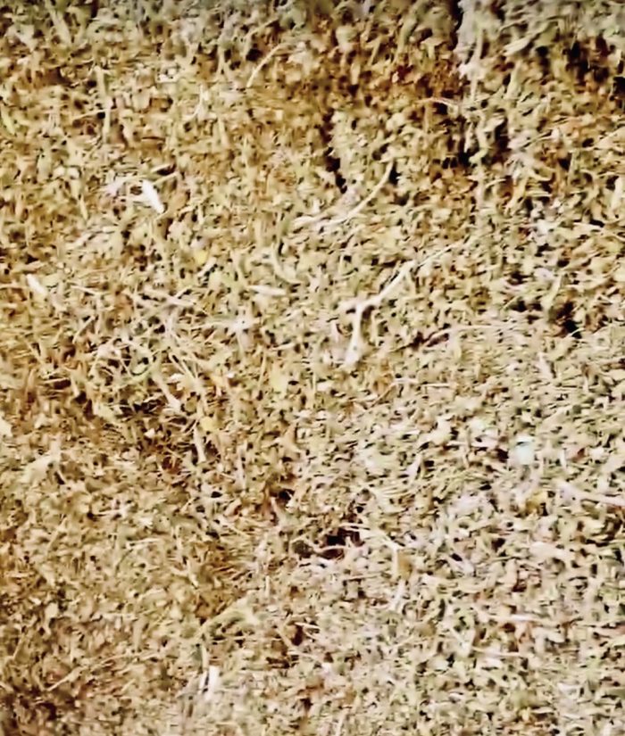 CBG Hemp Biomass Enectarol